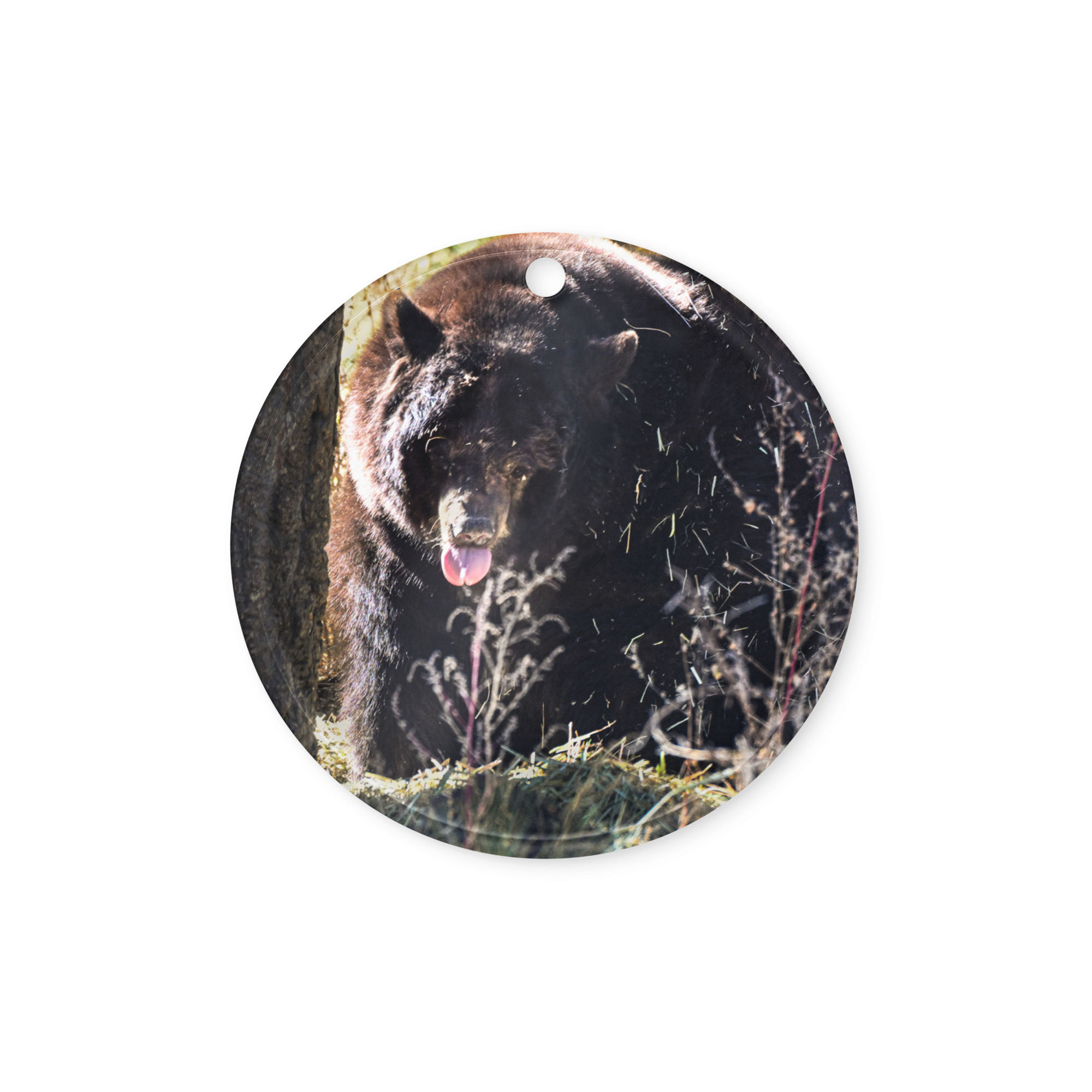 Acrylic ornament The brown bear