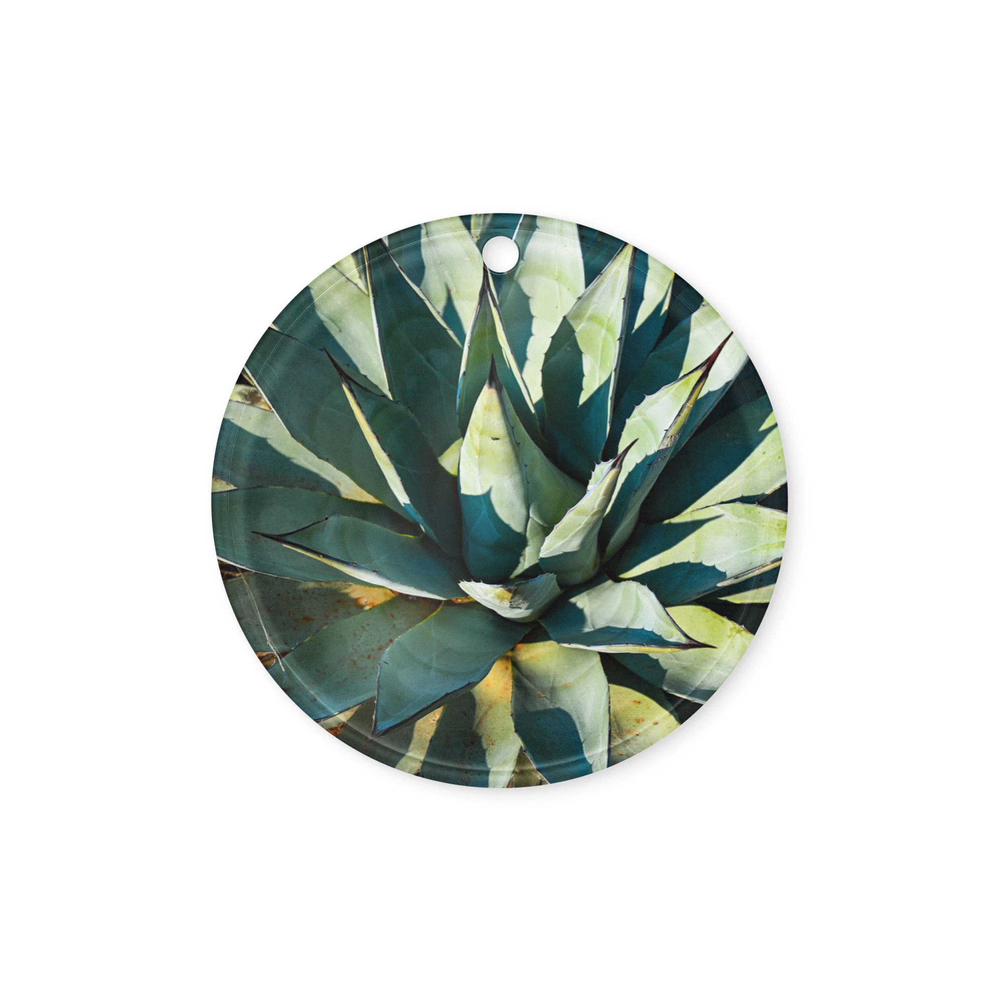 Acrylic ornament an Agave