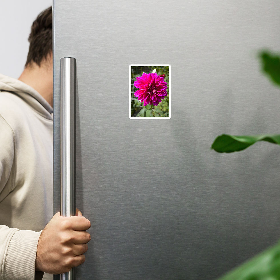 Thumbnail: Magnet Purple Dahlia
