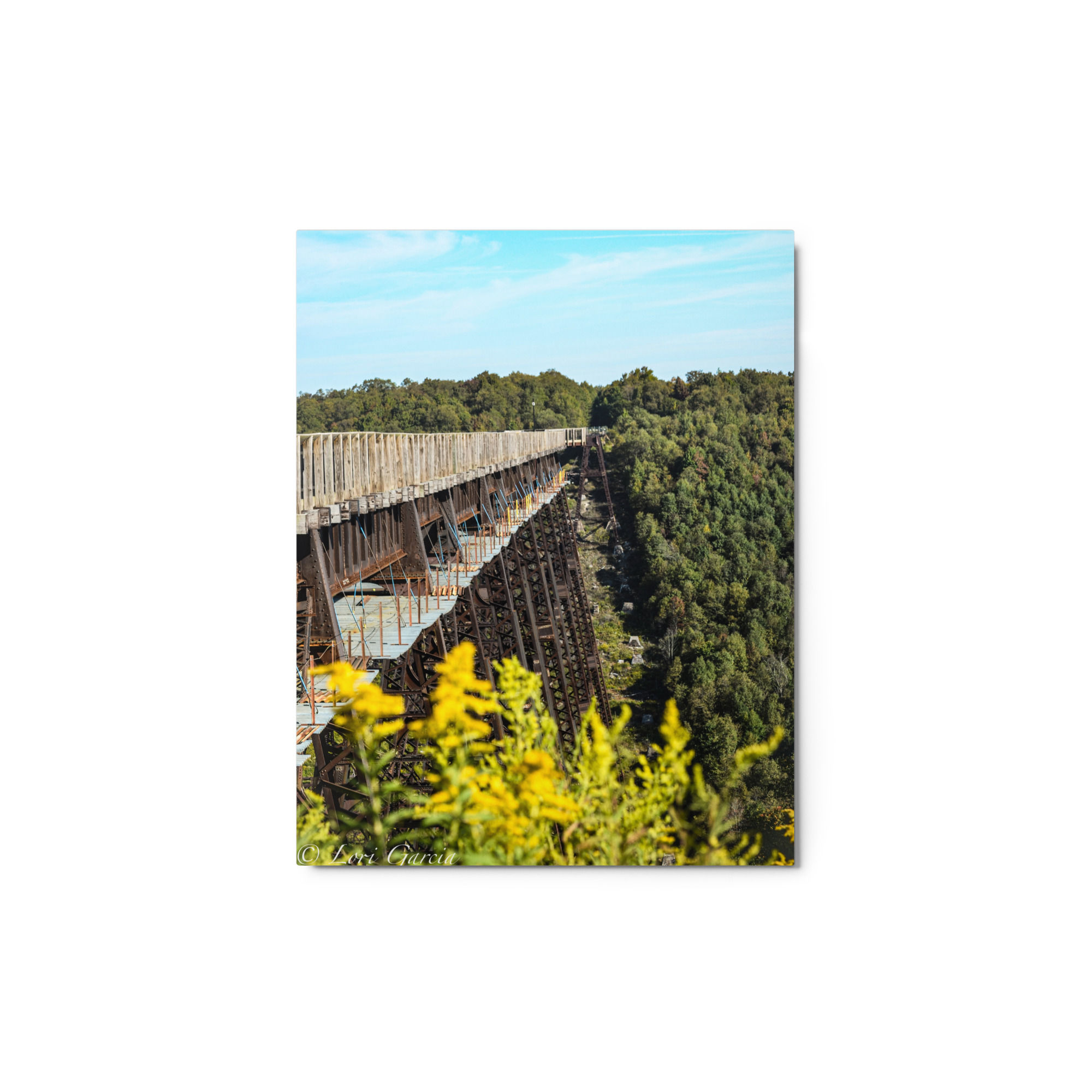 Metal prints Kinzua amongst the flowers