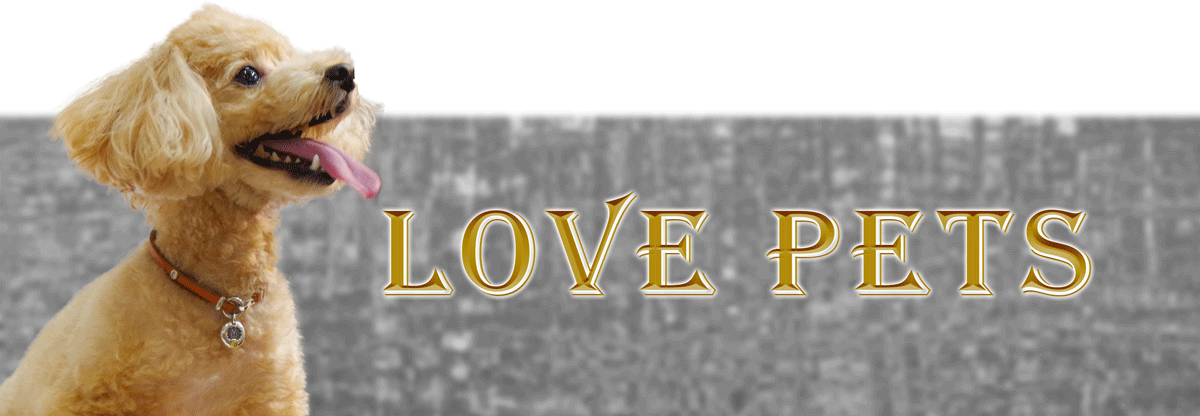 LOVE-PETS.gif