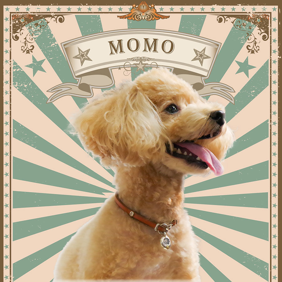 サムネイル： Pet's Necklace Slim