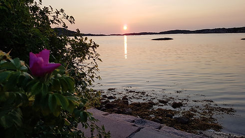 Solnedgång Bovall.jpg