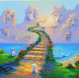 Rainbow bridge memorial dog art with dogs in heaven above ocean path – tribute pet image for Picky Puppy Samples