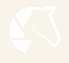 transparent logo.png