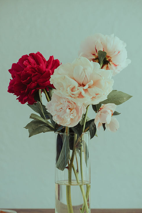 cody-f-3DWEnyYftjw-unsplash.jpg