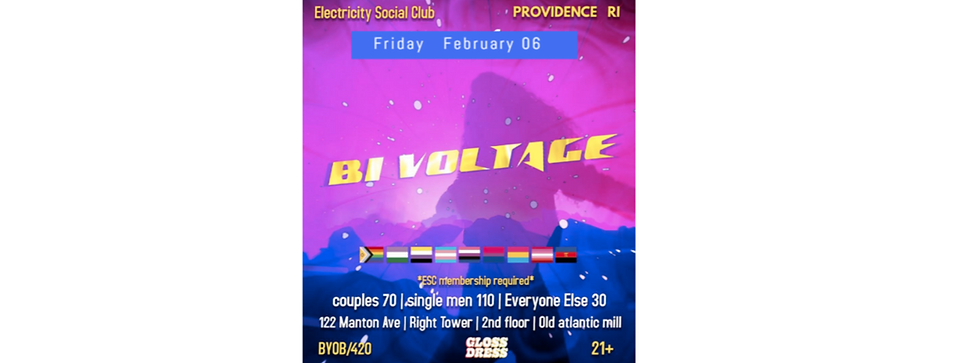 BI Voltage by TSR