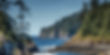 Pacific Northwest coastal landscape blue.jpg