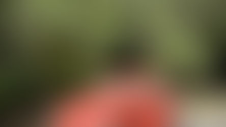 Meu carro na cena - @garagem_do_treeps