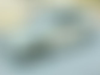 Meu carro na cena - @carmonasp