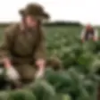 We Support Australian Farmers