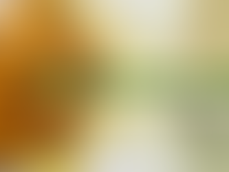 Feeding Your Dog at Different Life Stages