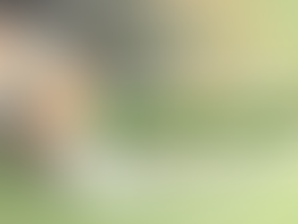 The Importance of a Specific Feeding Location