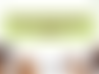 How to Assess Processed Pet Food for Your Dog