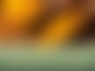 Why Curcumin BioBDMC™ is the Future of Anti-Inflammatory Supplements