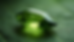 Close-up view of a faceted peridot gemstone showcasing its bright green color and clarity