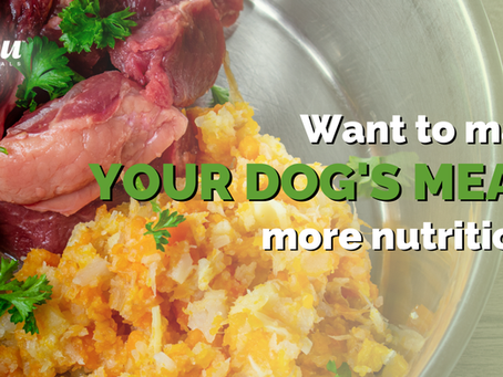 Tips for Successfully Working with a Raw Food Diet