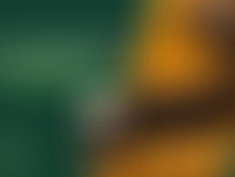 Curcumin BioBDMC™ vs. Traditional Remedies: Navigating Inflammatory Pathways with BioBDMC