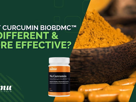 Curcumin BioBDMC™ vs. Traditional Remedies: Navigating Inflammatory Pathways with BioBDMC