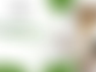 Nutraceutical Support for Rheumatoid Arthritis in Dogs