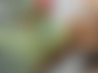 Precision Training: Franco Cavaleri's Guide to Injury-Free Workouts