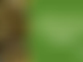 Building Bridges: Integrating Pharmaceutical and Natural Medicine