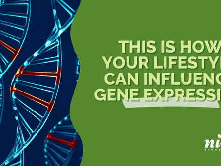 How External Factors Shape Genetic Expression