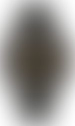 One Week. Christmas is coming! Grab your gifts!