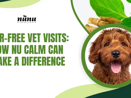 Fear-Free Vet Visits: How Nu Calm Can Make a Difference