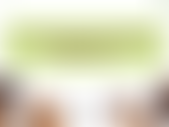 Key Supplements for Your Dog's Optimal Health