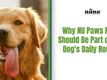 Why NU Paws Relief Should Be Part of Your Dog's Daily Routine