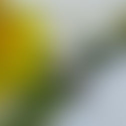 The Diamond Deal You Don’t Want to Miss at Central City’s Closing Sale