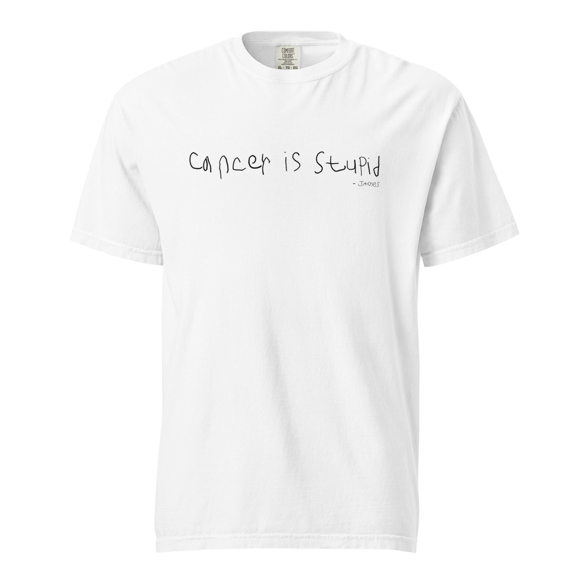 Adult T-Shirt | Cancer is Stupid