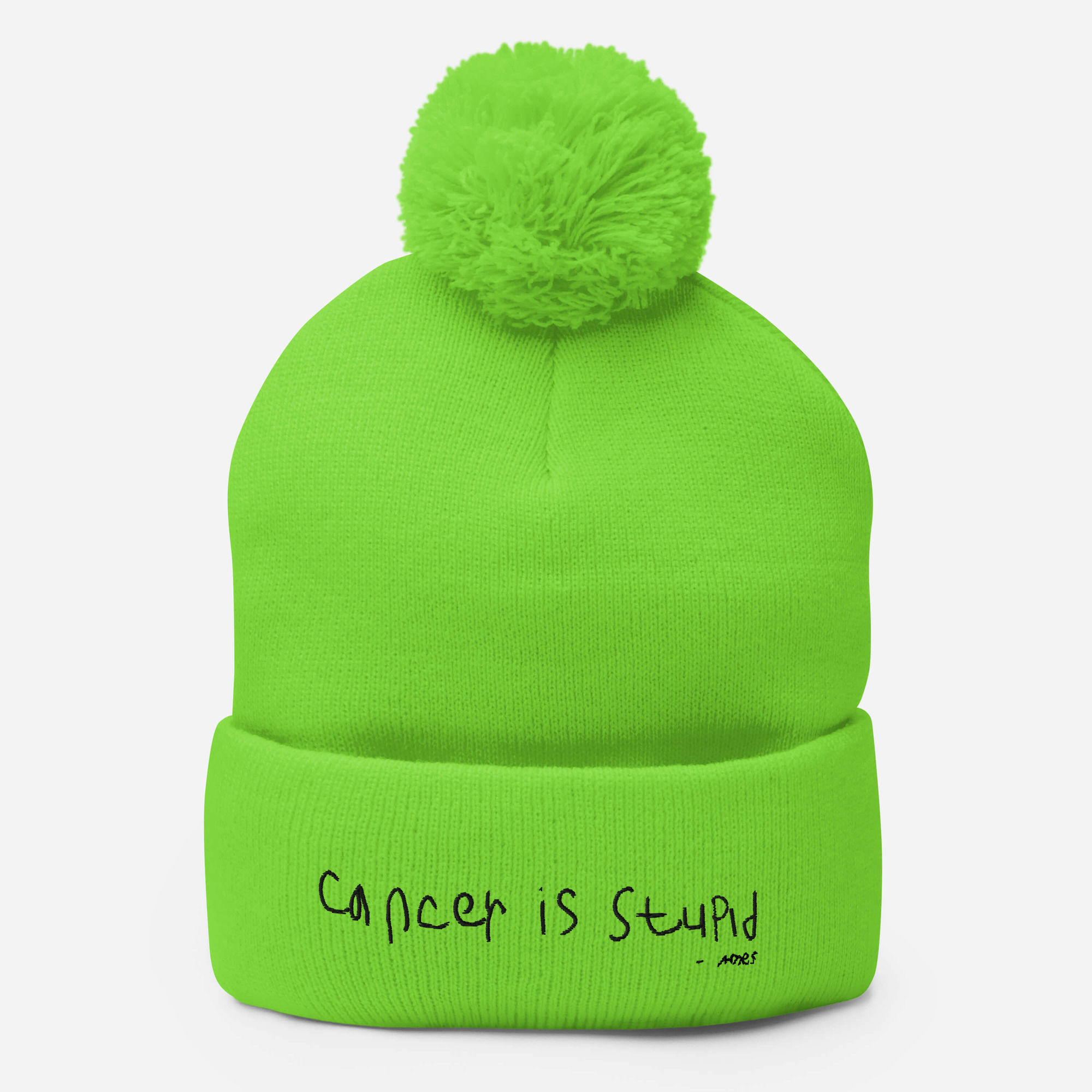 Cancer is Stupid Pom-Pom Knit Cap