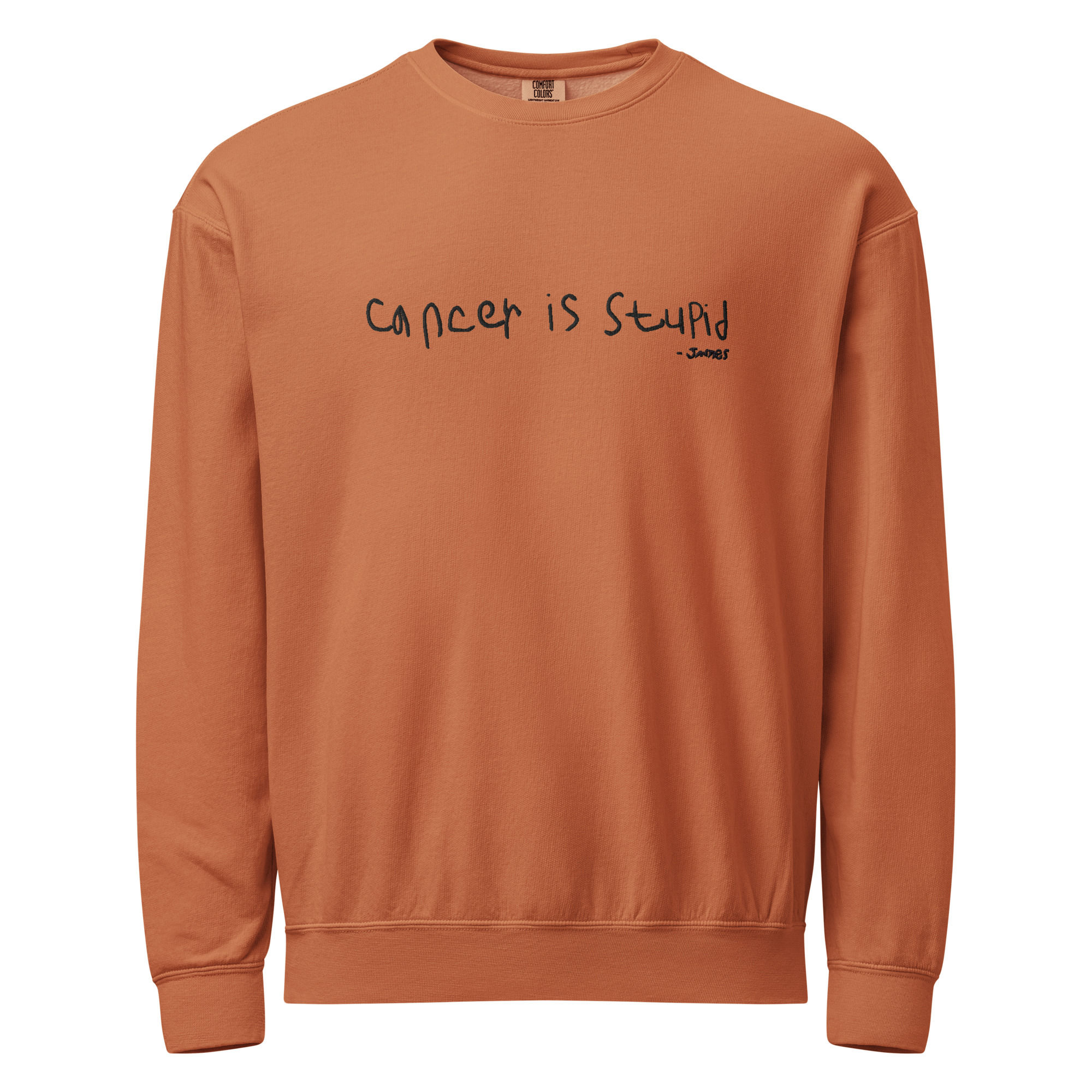 Adult crewneck sweatshirt | Cancer is Stupid