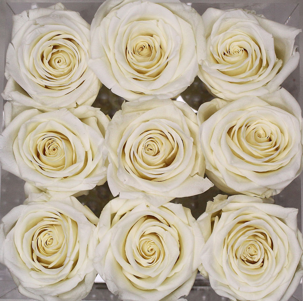 Miniatura: Ivory Acrylic Rose Box Toronto