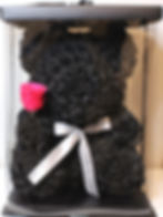 Black Rose Bear Toronto