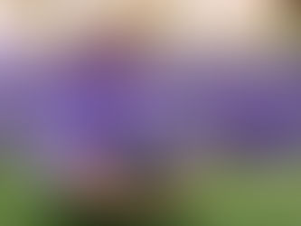 Nueva forma de llamar en Colombia a partir del 01 de septiembre de 2021