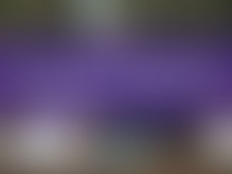 Sanciones por responsabilidad administrativa ambiental.