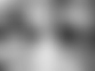 Obligaciones legales de la ARL en materia de riesgos laborales.