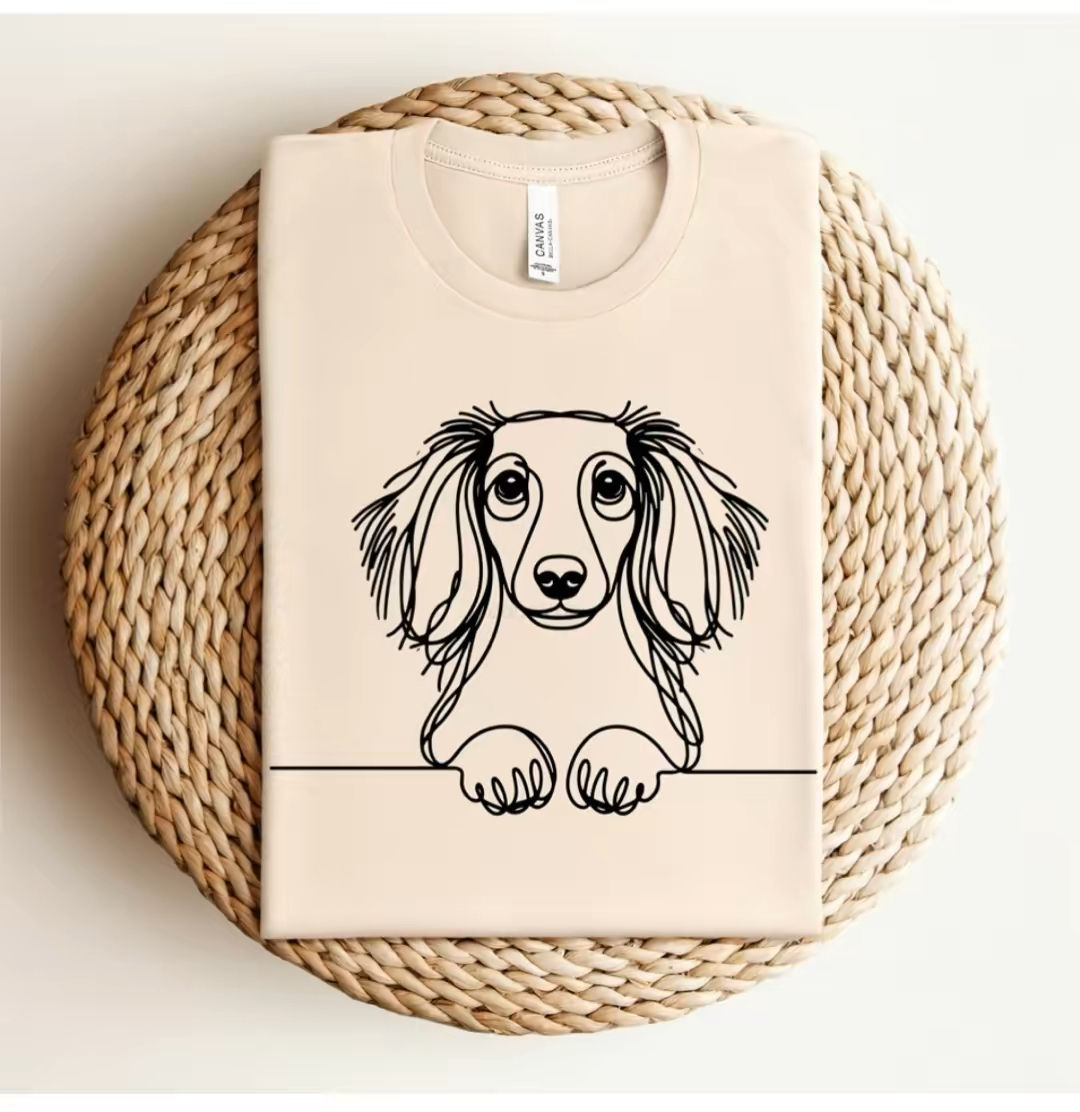 LS Longhair Dachshund 