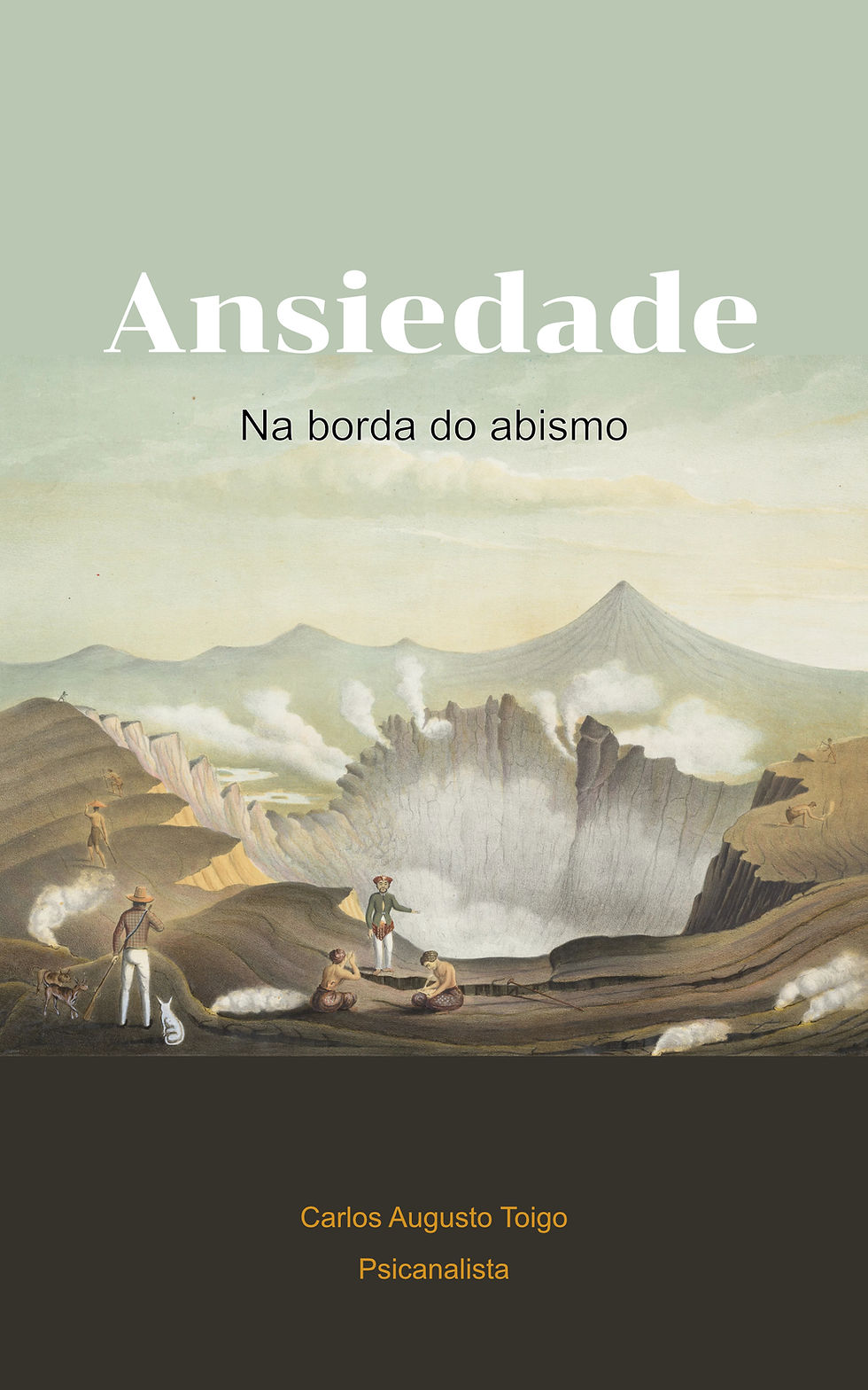 livro-ansiedade-na-borda-do-abismo-carlos-augusto-toigo.jpg