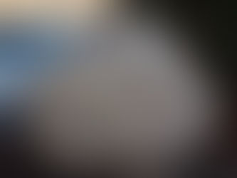 Never Truly There: the Soul of History and Philosophy of Science