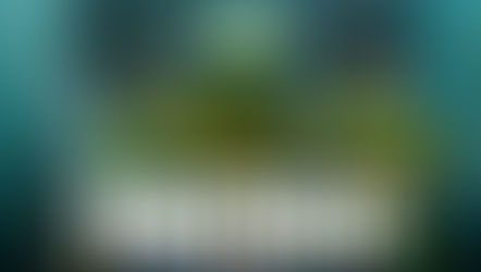 Fortnite x Teenage Mutant Ninja Turtles Crossover Unveiled: Anticipated Launch Date, Skins & More