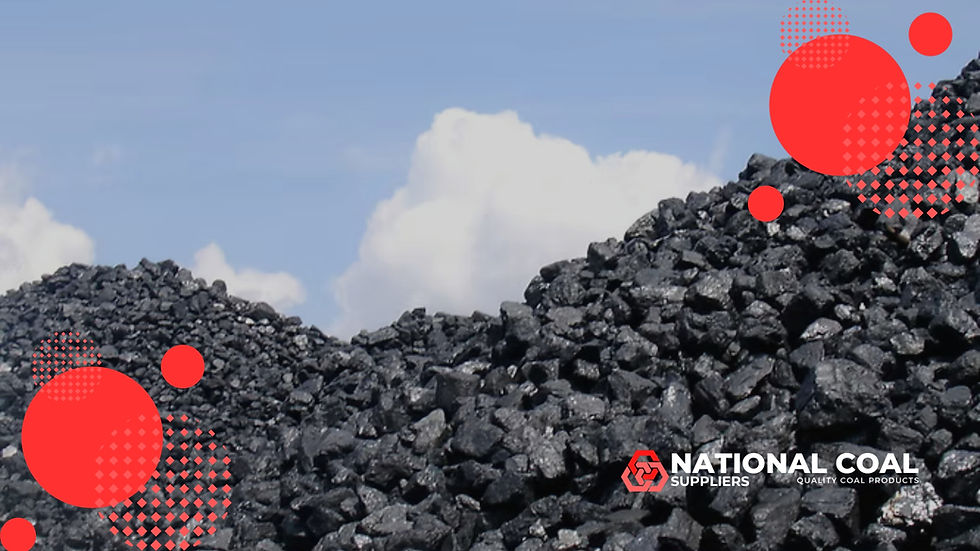 What is the Difference Between Coal Peas and Coal Small Nuts