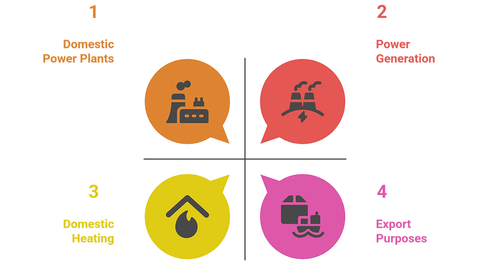 A diagram titled "Coal Grade Application and Energy Content" dividing coal uses into four quadrants: 1) Domestic Power Plants (orange) using lower energy content for large-scale operations, 2) Power Generation (red) requiring high energy content for large-scale use, 3) Domestic Heating (yellow) utilizing low energy content for small-scale needs, and 4) Export Purposes (pink) demanding high energy content for small-scale distribution.
