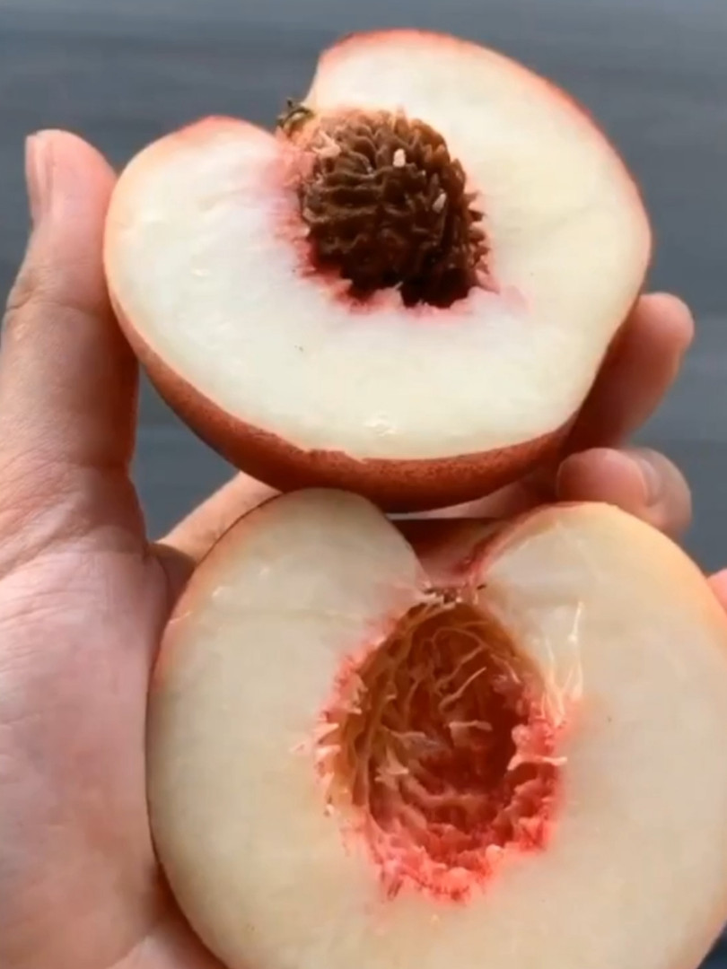 Finest Harvest Fresh Fruits In Singapore