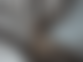 Top Tree Trimming and Pruning in Woodbridge