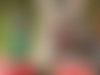 Some ASMR Pet Videos to Relax Your Mind