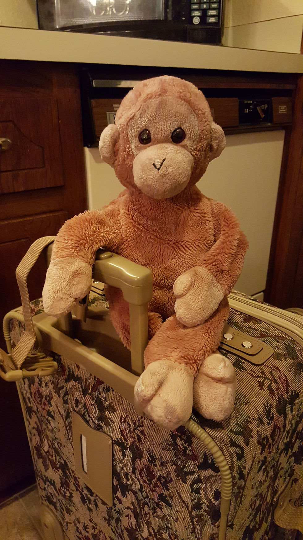Plush Monkey on a Suitcase